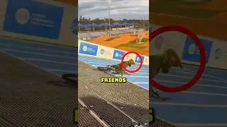 Почему BMX-гонщики ненавидят отвлекающие факторы