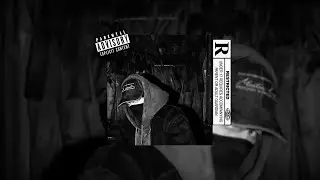 [FREE] Freestyle Base de Rap |