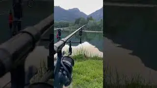 Run&hellip;😍🎣 #austria #carpfishing #fish #fishing #follow #karpfen #youtube #karpfenangeln #carp