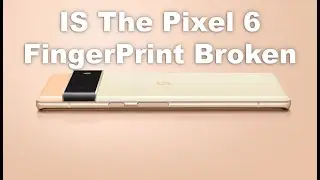 Pixel 6 Fingerprint Broken ?????