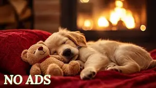 12 Hours of Calming Music for Dogs 🐶💖 Anti-Separation Anxiety Relief 🐶🎵Dog Sleep Music💖