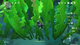 HOW TO BREAK VINES BLOCKING PATH UNDERWATER FONTAINE Genshin Impact