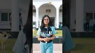 Worried about your future? Get expert career guidance at Kalinga University | Admissions Open 2025