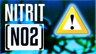 🐟 Was tun bei Nitrit (NO2) im Aquarium? 💦