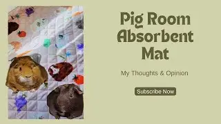 The  Pig Room Absorbent Mat is a Game Changer! My Honest Review!