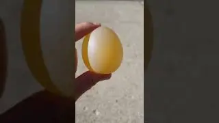 egg in apple cider vinegar