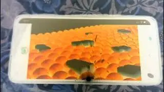 Samsung logo balls has fleas