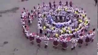 Hora Unirii flash mob LTPA M.Berezovschi
