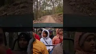 Durga Devi Zone Jungle Safari  / Jim Corbett National Park Jungle Safari