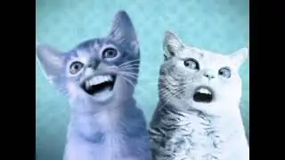 ANIMATED SPOOF MUSIC VIDEO NUMA CAT MARI GROUP 4 