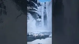 Gr&aacute;ni and Sn&aelig;kollur at Sk&oacute;garfoss, Iceland 📌 #iceland #viral #shortvlog #exploravista