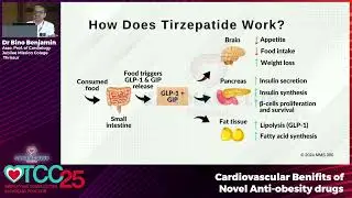 Cardiovascular Benifits of Novel Anti obesity drugs - Dr Bino Benjamin - TCC25