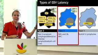 KEYNOTE: Catherine Bollard, M.D., MBChB, Children&rsquo;s National Health System