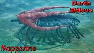 Развитие жизни на Земле (The Evolution of Life) - Маррелла (Marrella splendens)