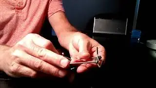 How to Set a Trapline Mole Trap Before Going Outside &ndash; Step-by-Step Guide