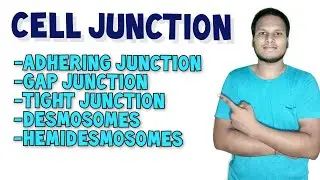 Cell Junction | Types of Cell Junction in Hindi | Human Anatomy and Physiology