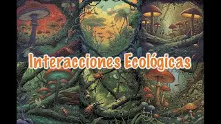 1 - Interacciones Tróficas