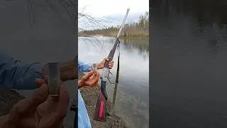 Duck hunting with old shotgun | Shotgun review | Water and birds sounds effect | #shorts #hunting