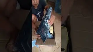 Unboxing jet cleaner HL QL2500
