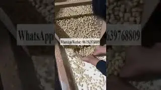Peanut peeling machine Peanut red skin removing machine Ground nut peeler Groundnut red skin remover