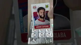 Album de Figurinhas e Cards Colecionaveis Brasileir&atilde;o 2025 Edi&ccedil;&atilde;o  Colecionador SE INSCREVE NO CANAL