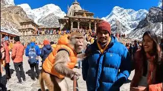 🐒 &ldquo;Yeh Bandar Toh Full Comedian Nikla 😂 | Funny Monkey Video 2025&rdquo;1