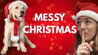 Messy Christmas With Dogs ( and the mistakes we make & how to make the best out of this X-mas 🌲)
