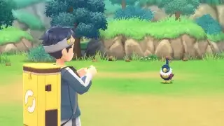Shiny Chatot (39 PokeRadar Chain)