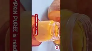 3 Summer Puree Recipes For Babies