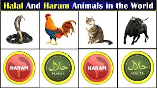All Halal and Haram Animals in the World