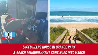 STOITM: Elderly horse rescued by Orange Park with SJCFD and Beach Renourishment | January 30, 2024