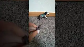 Schleich Reiter Set.