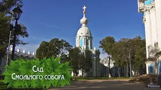 Сад Смольного собора (2025)