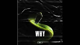 andersnst - why