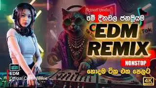 මේ දවස්වල ජනප්&zwj;රියම EDM සින්දු එකතුව | EDM Songs Collection 2026 | Sinhala New Song | Neon Beats