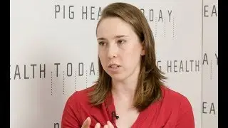Action plan, training keys to humane euthanasia of pigs