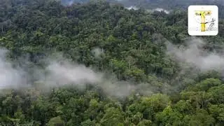 World Record of Long Breath Recitation