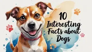 10 Dog Facts You Never Knew!