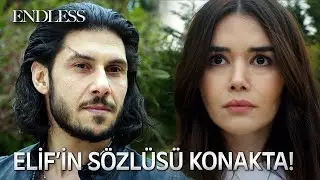 Elif'in belalısı geri geldi! | Fedakar