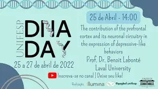 The contribution of the prefrontal cortex and its neuronal circuitry in the expression of ...