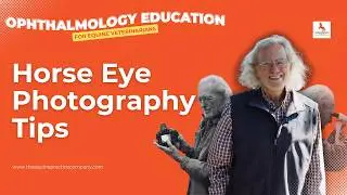 Horse Eye Photography Tips from a Florida Vet&rsquo;s Farm