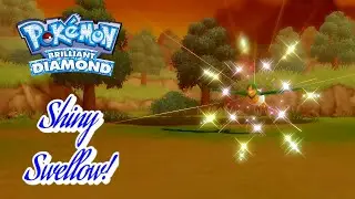 ✨Pok&eacute;mon Brilliant Diamond: SHINY SWELLOW VIA POKERADAR! (6-CATCH CHAIN; NO SHINY PATCH)✨