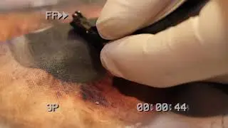 REPARAȚII OCHELARI: EPISODUL 6, BALAMALE STRAMBE