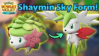 How to Get Shaymin Sky Form in Pokemon Scarlet and Violet! Teal Mask DLC Shaymin Form Change Item