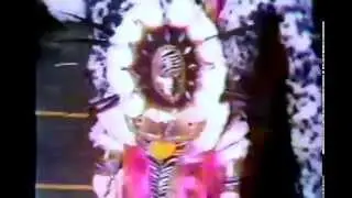 1977 Aqua String Band 