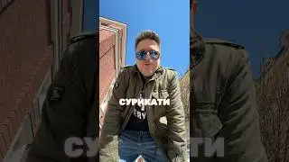 🎞️ Асен Блатечки е един от най-талантливите и обичани български актьори.