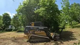 Clearing Hardwoods for Future Pasture