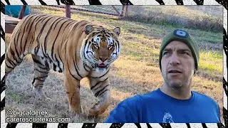 Did we just become best friends?! | WATC 843