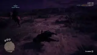 Lasso fail