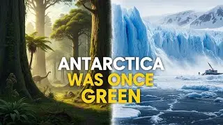 Antarctica Was Once Green &mdash; Here&rsquo;s Why It&rsquo;s Now Buried Under Ice